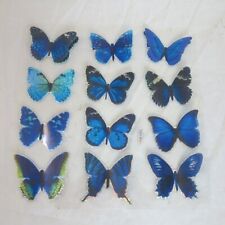 Schmetterlinge 12er set gebraucht kaufen  Schwerin-Umland II