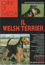 Cani razza welsh usato  Italia