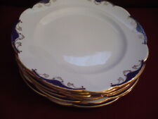 Galvani ceramica piatti usato  Caserta
