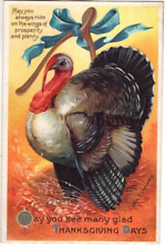 Antique thanksgiving postcard for sale  Dillsburg