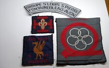 Lot badges scouts d'occasion  Magny-en-Vexin