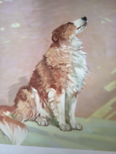 1937 friendly collie for sale  Erie