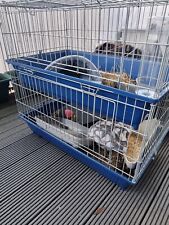 Ferret cage used for sale  LONDON
