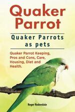 Quaker parrot. quaker for sale  USA