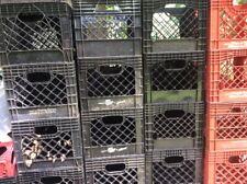 Two milk crates for sale  Kissimmee