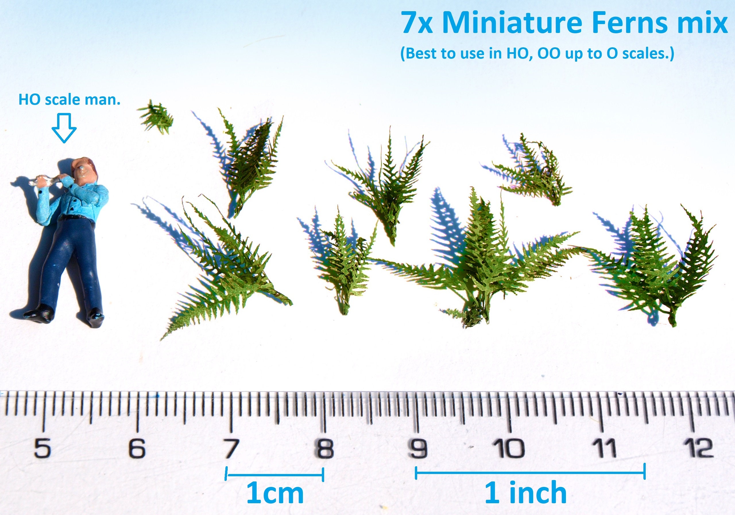 Miniature fern forest for sale  
