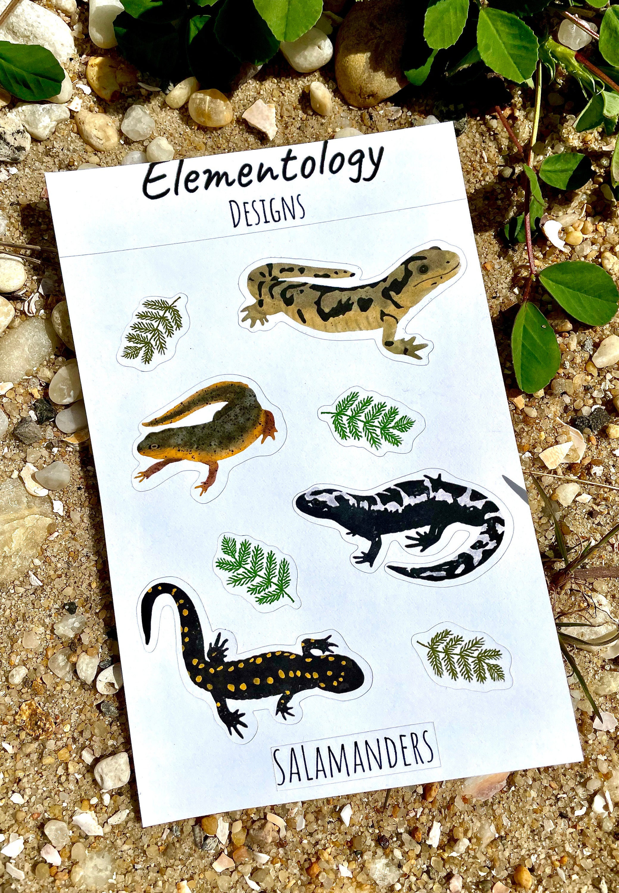 Salamander sticker sheet for sale  