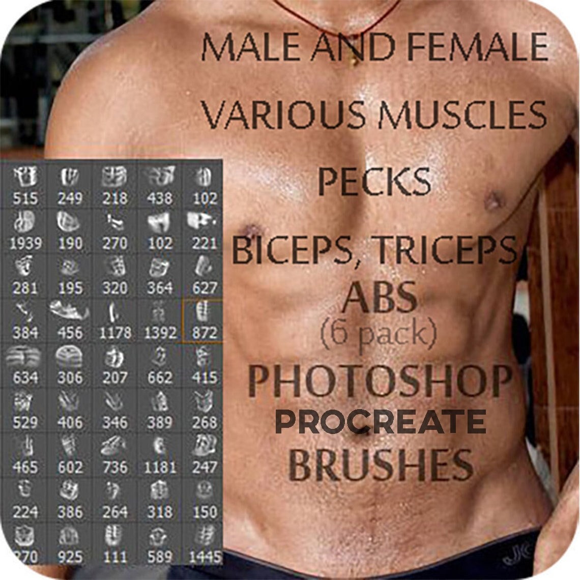 Abs photoshop brushes for sale  