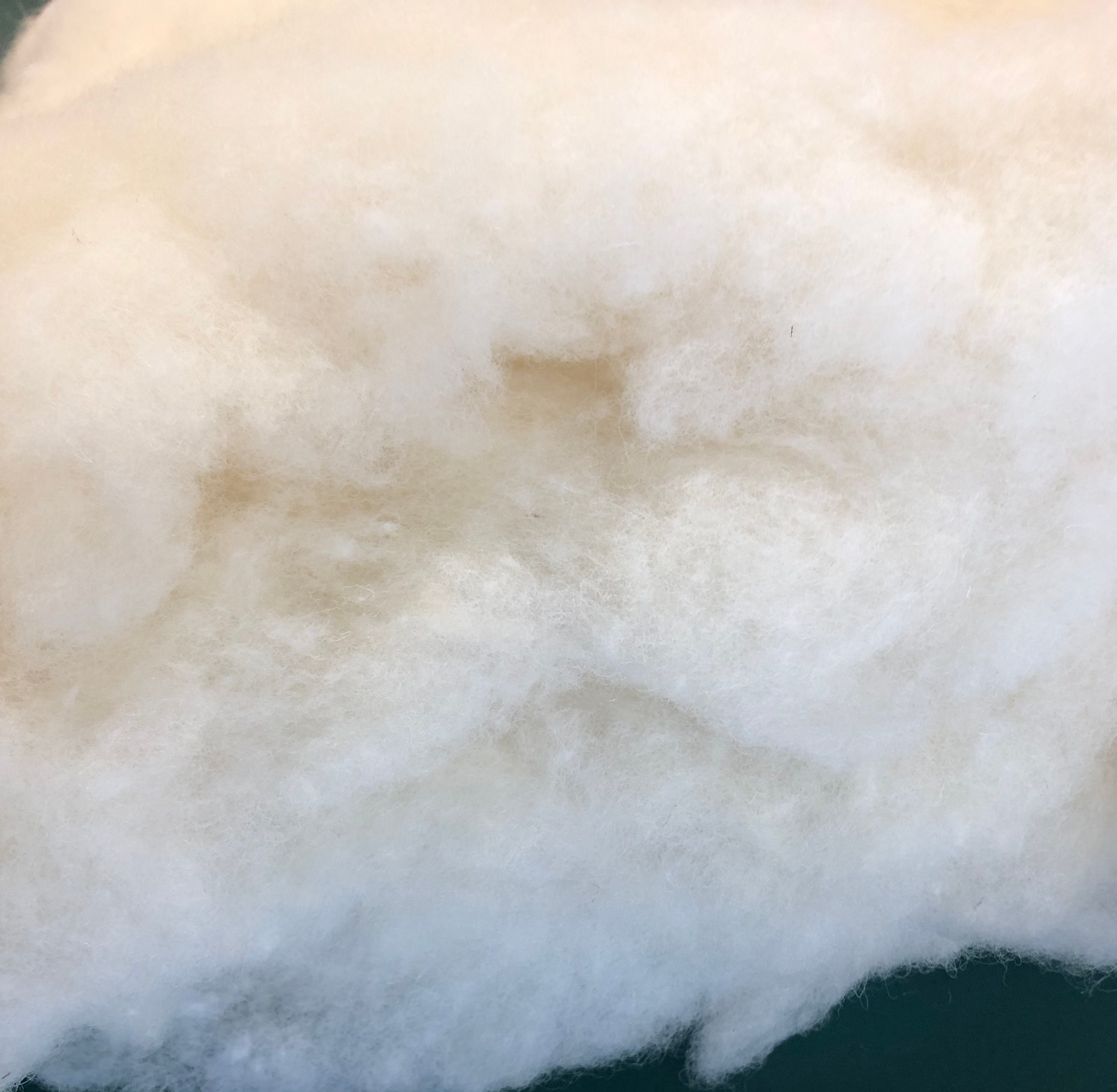 Stuffing wool core for sale  