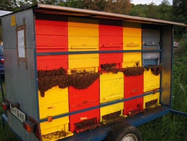 Beekeeping equipment national for sale  