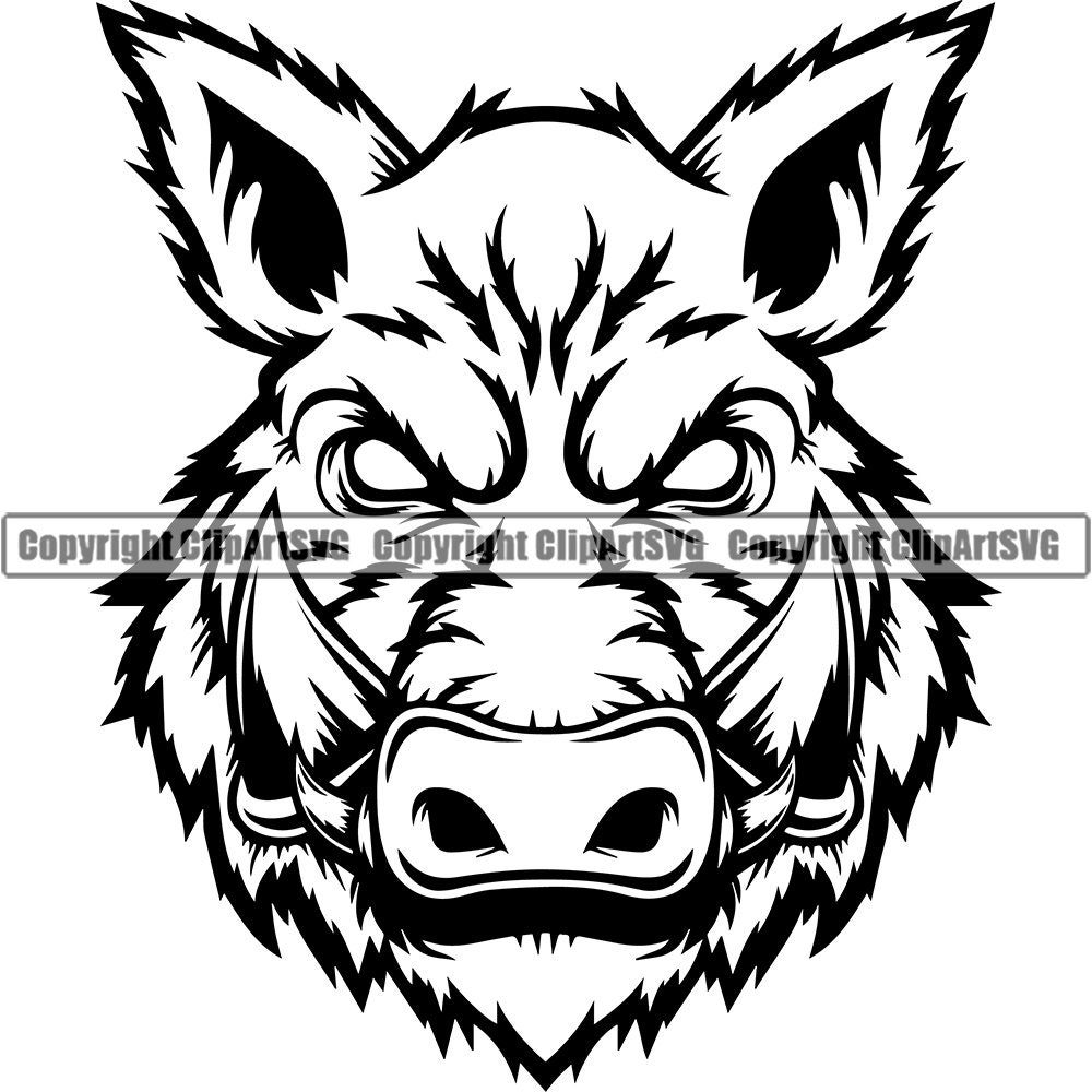 Boar wild hog for sale  