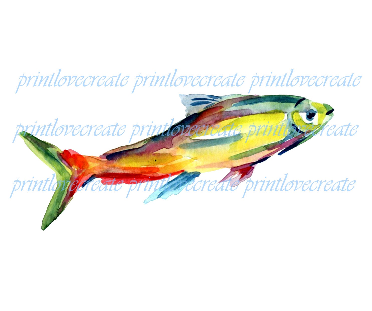 Digital fish watercolor for sale  