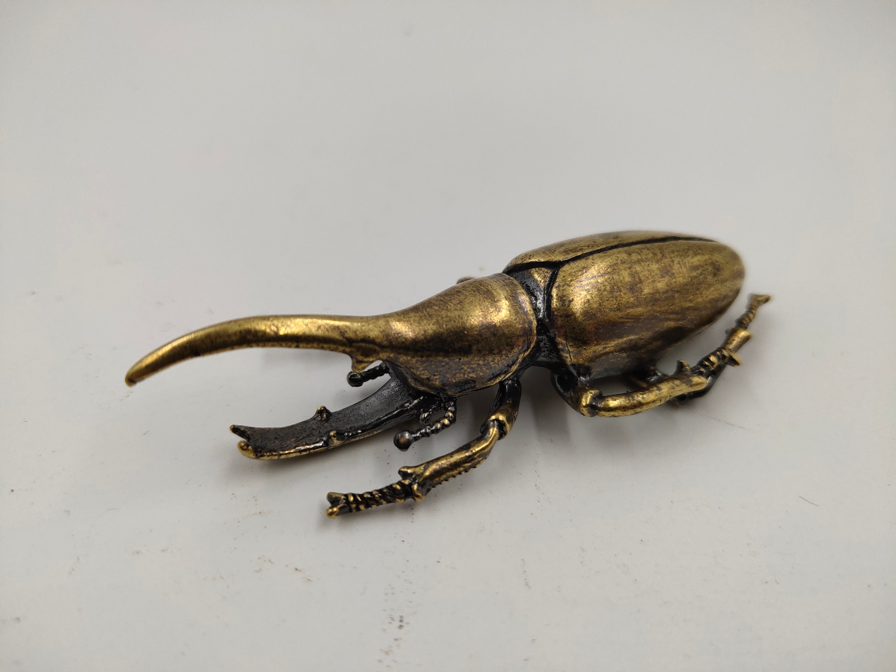 Dynastes beetle bronze for sale  