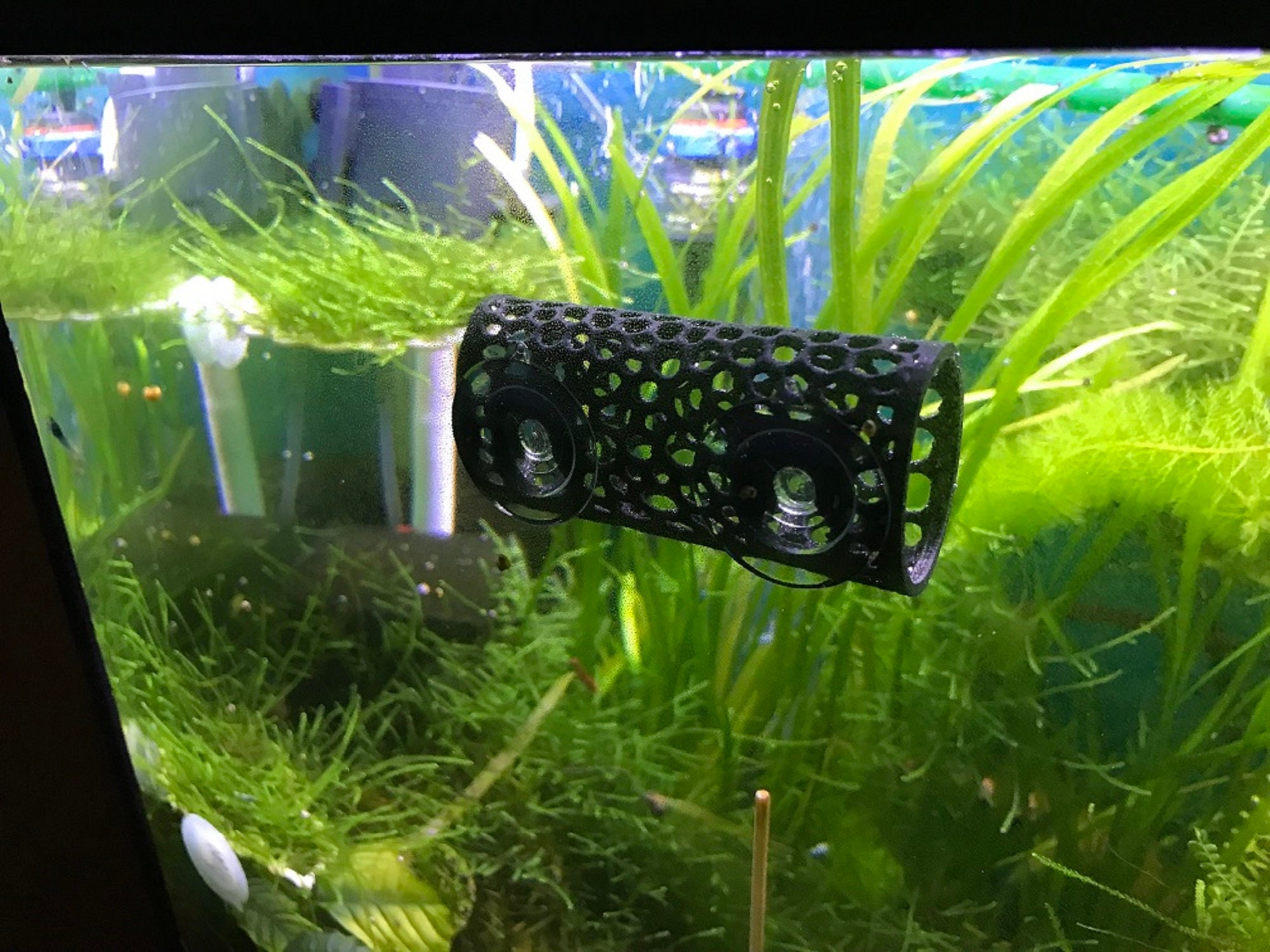 Betta bed resting for sale  