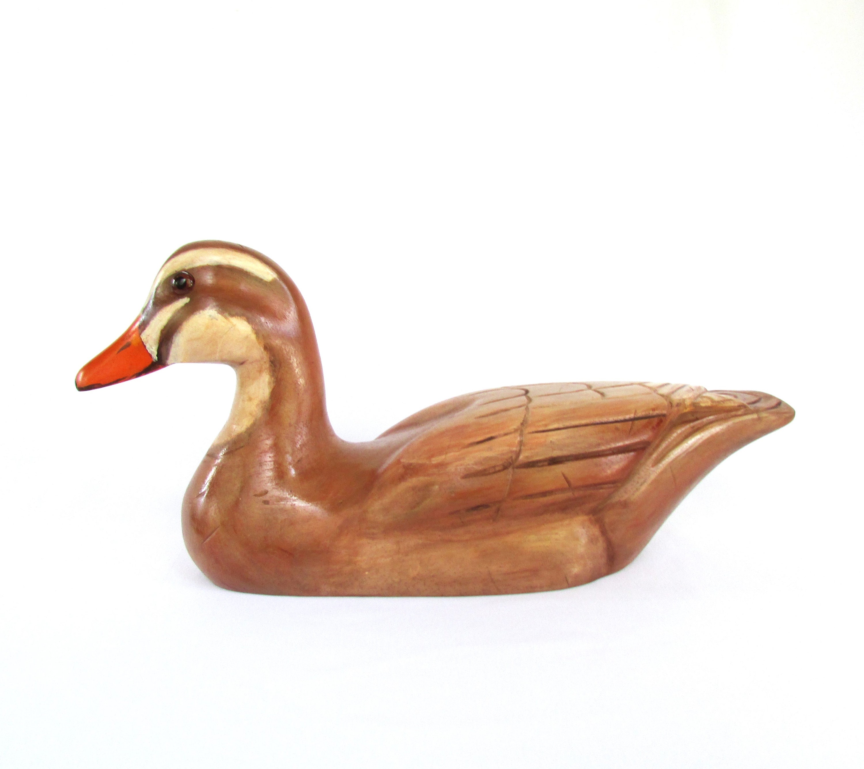 Saxony duck hen for sale  