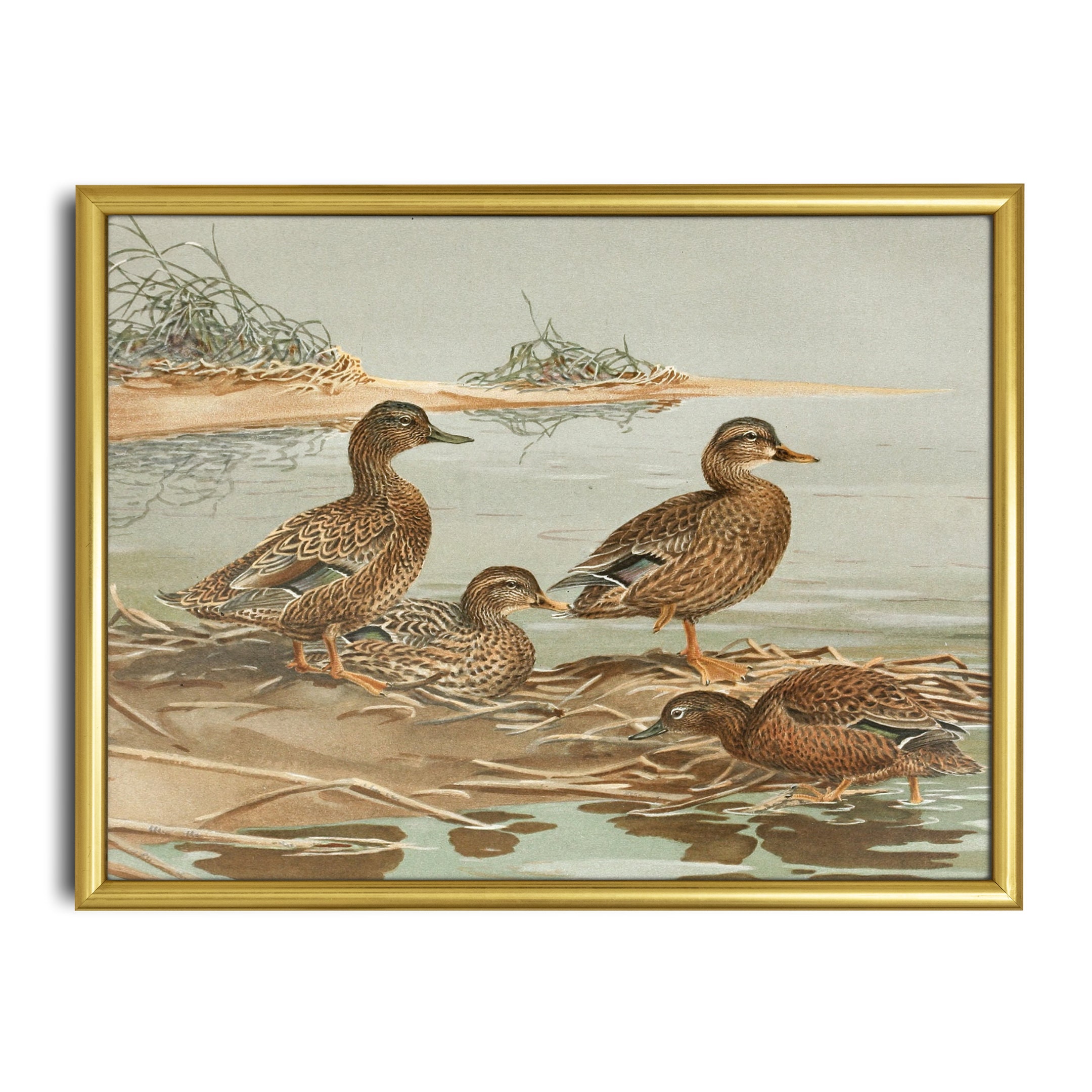 Vintage ducks painting for sale  