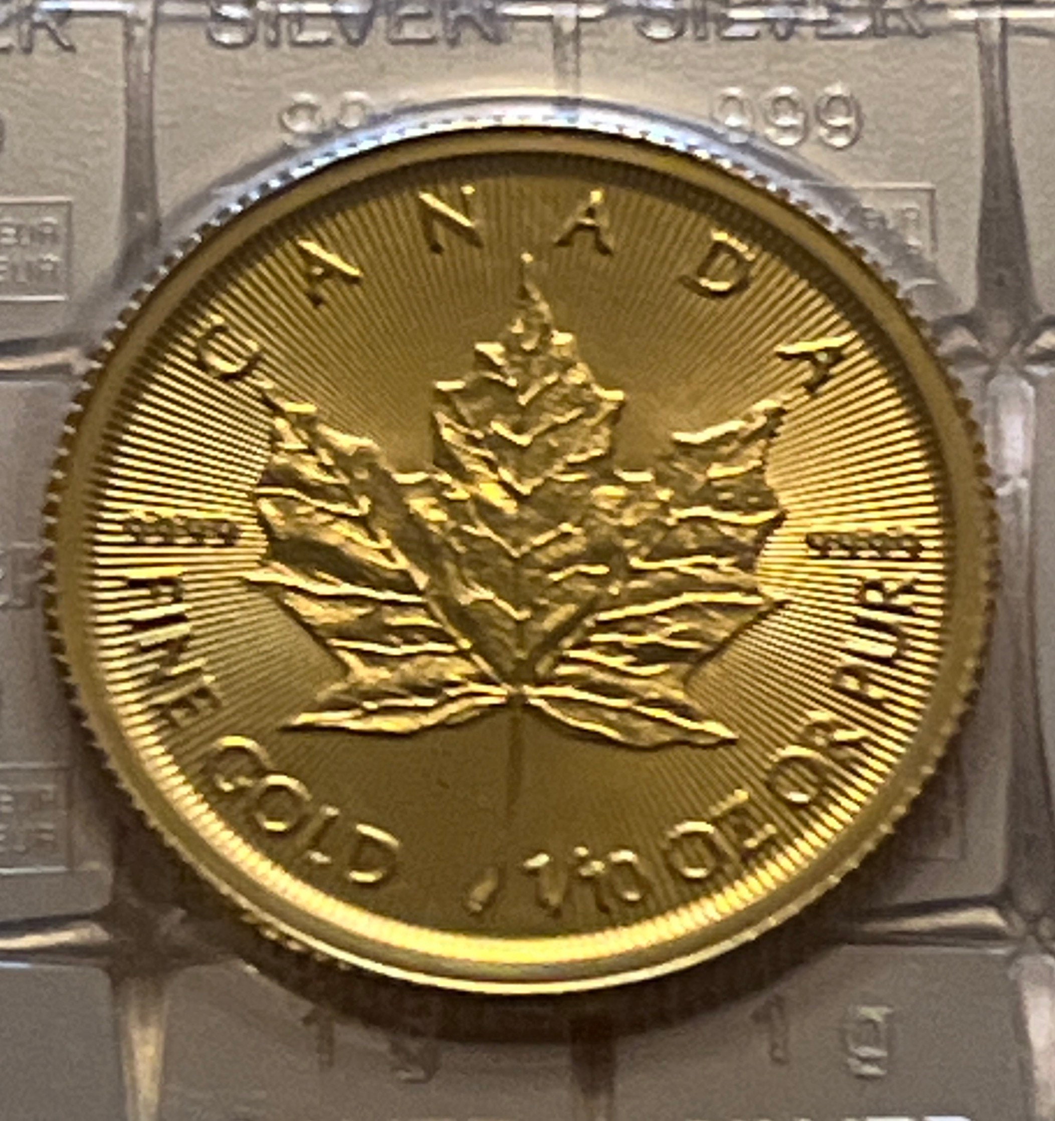Gold canadian maple for sale  