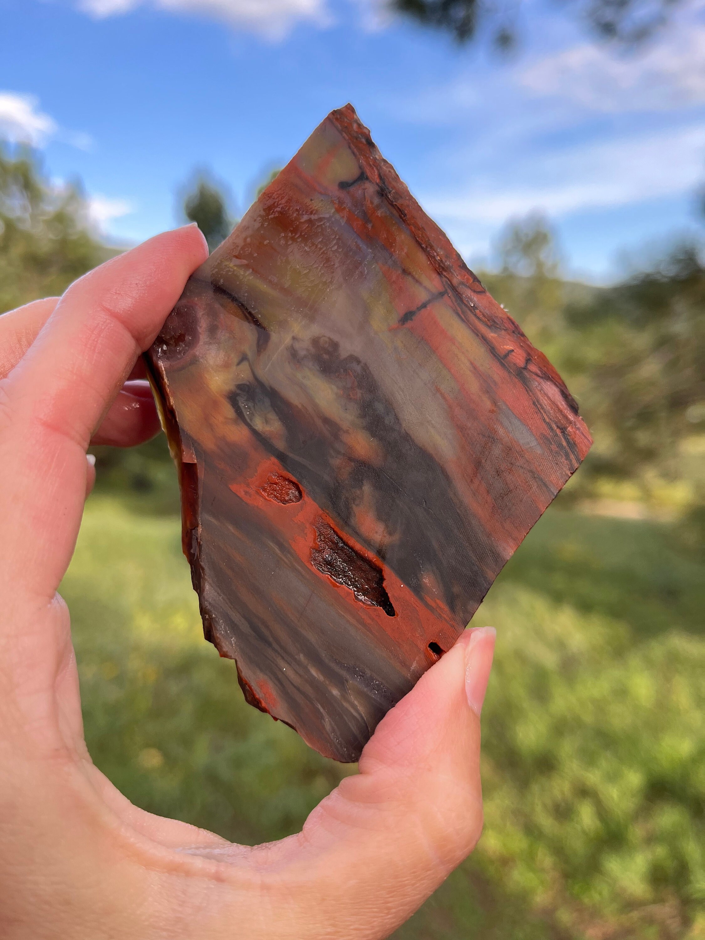 Petrified wood lapidary for sale  