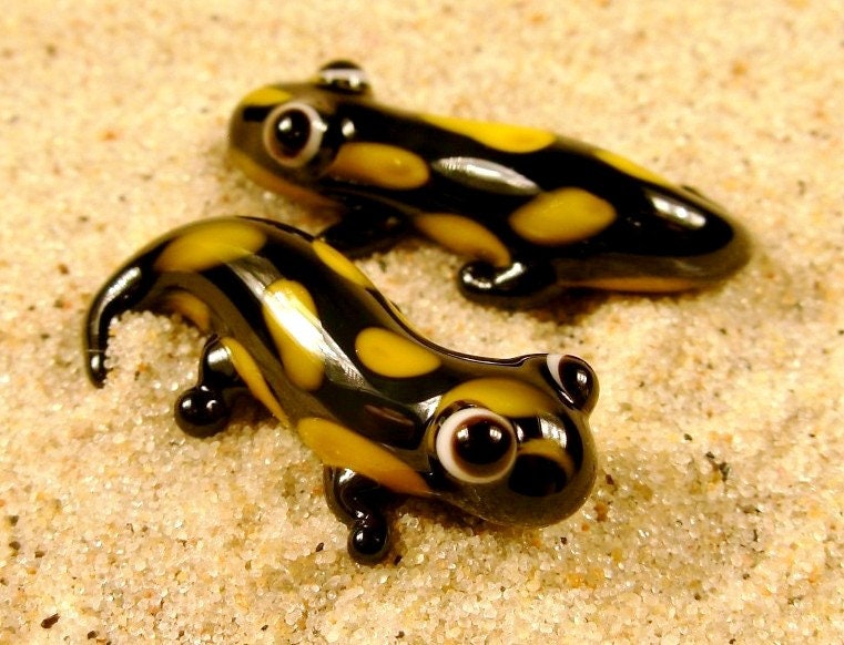 Cute fire salamander for sale  