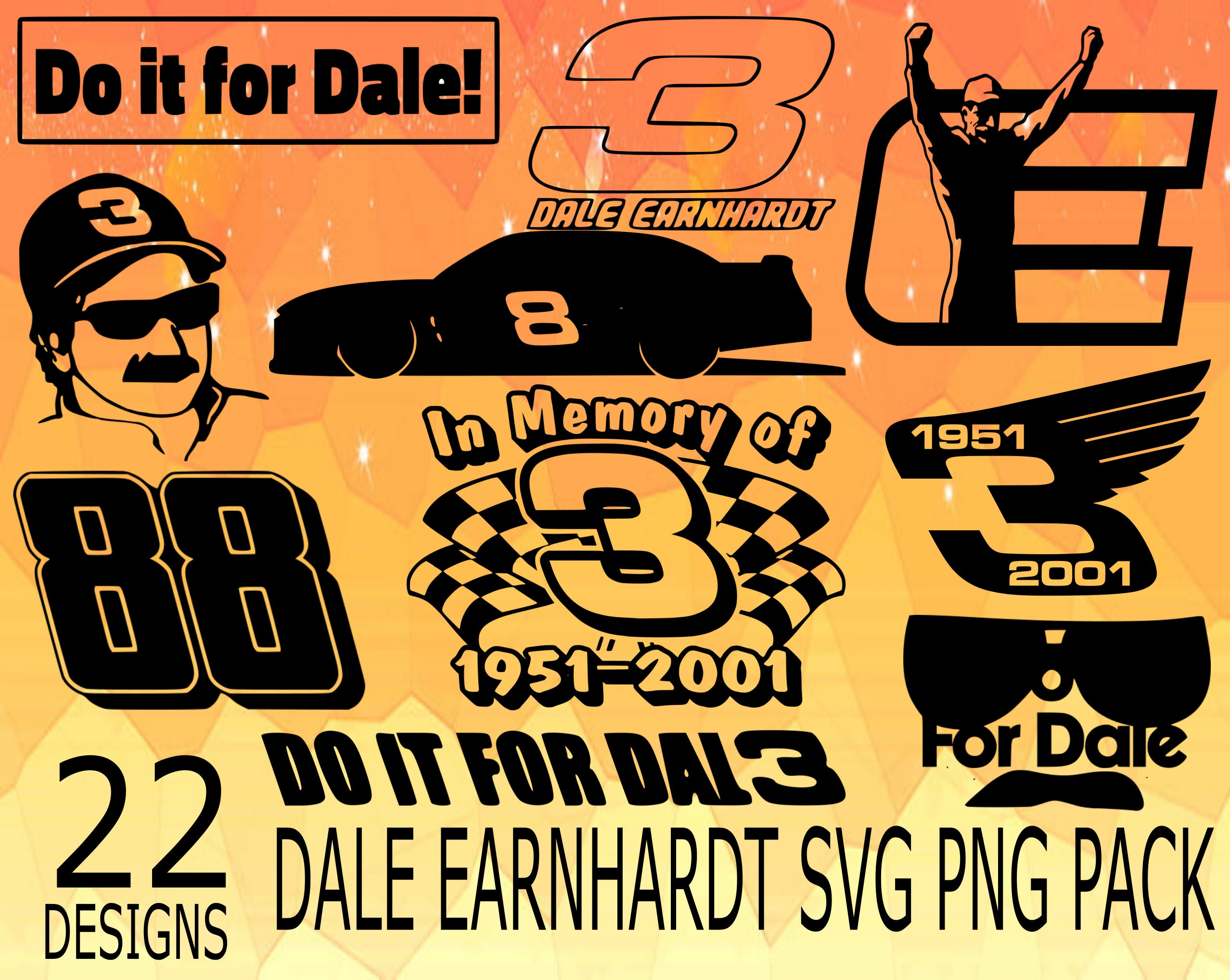 Dale earnhardt tribute for sale  