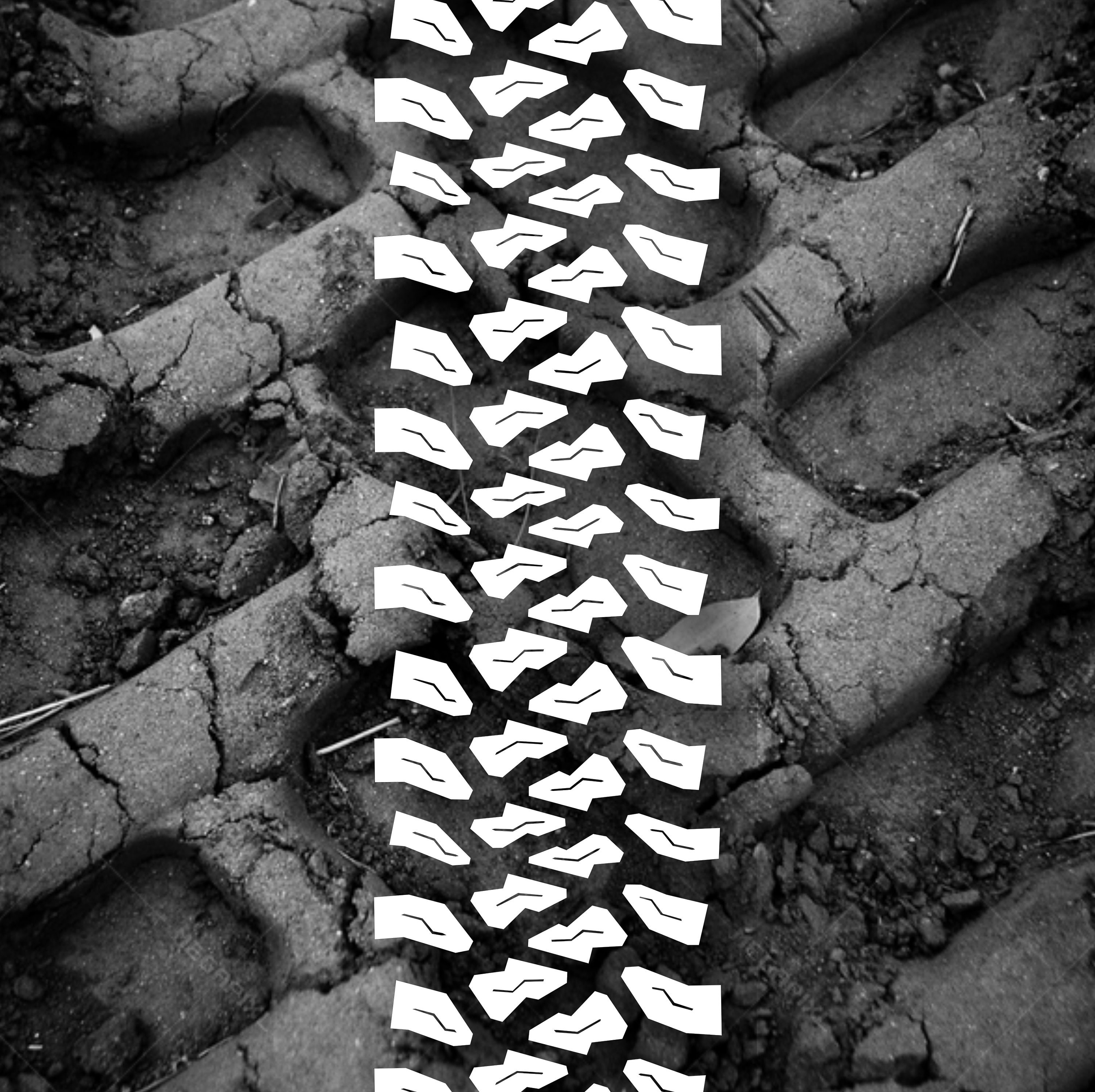 Tire track digital for sale  
