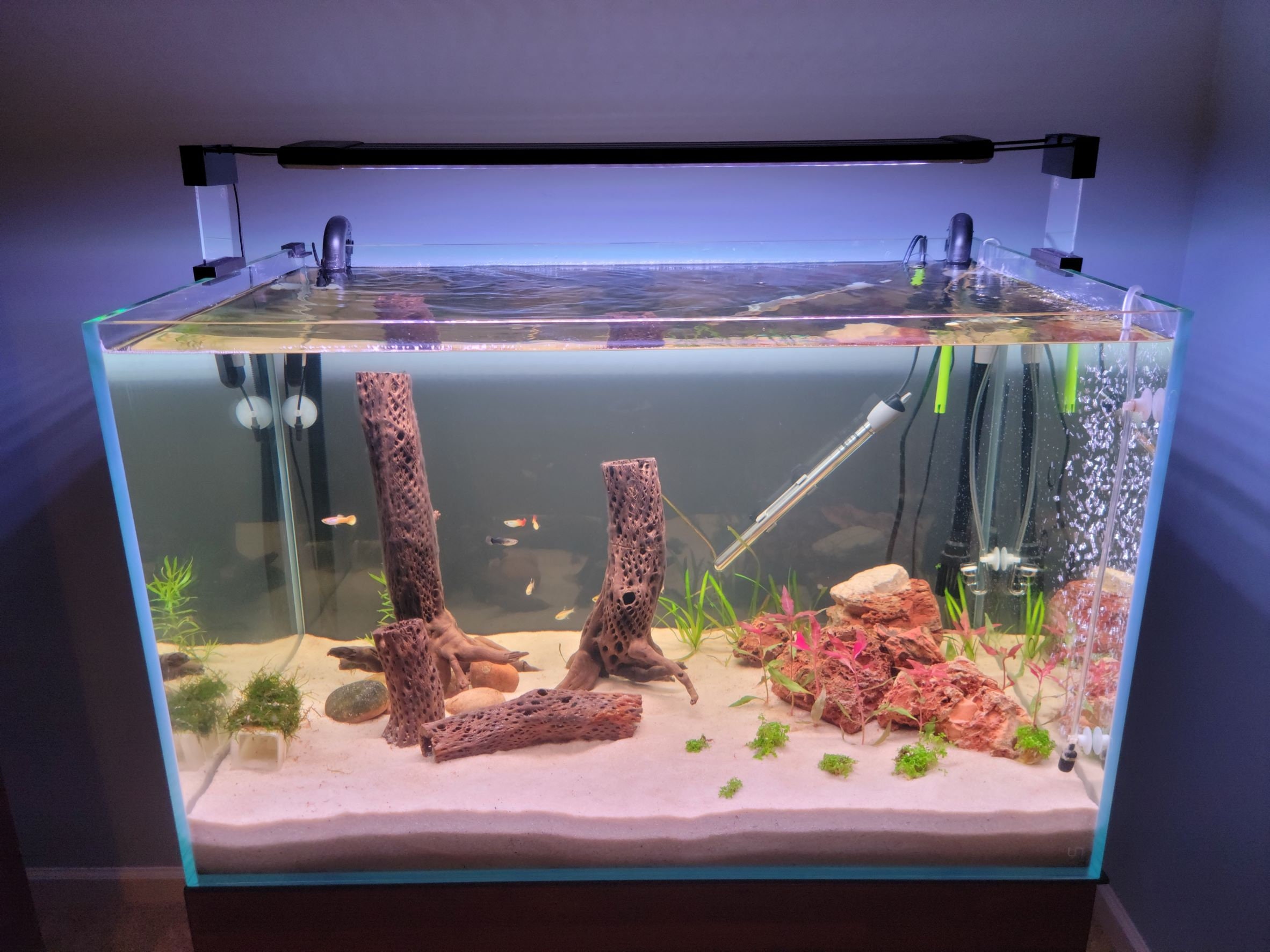 Hygger smart aquarium for sale  