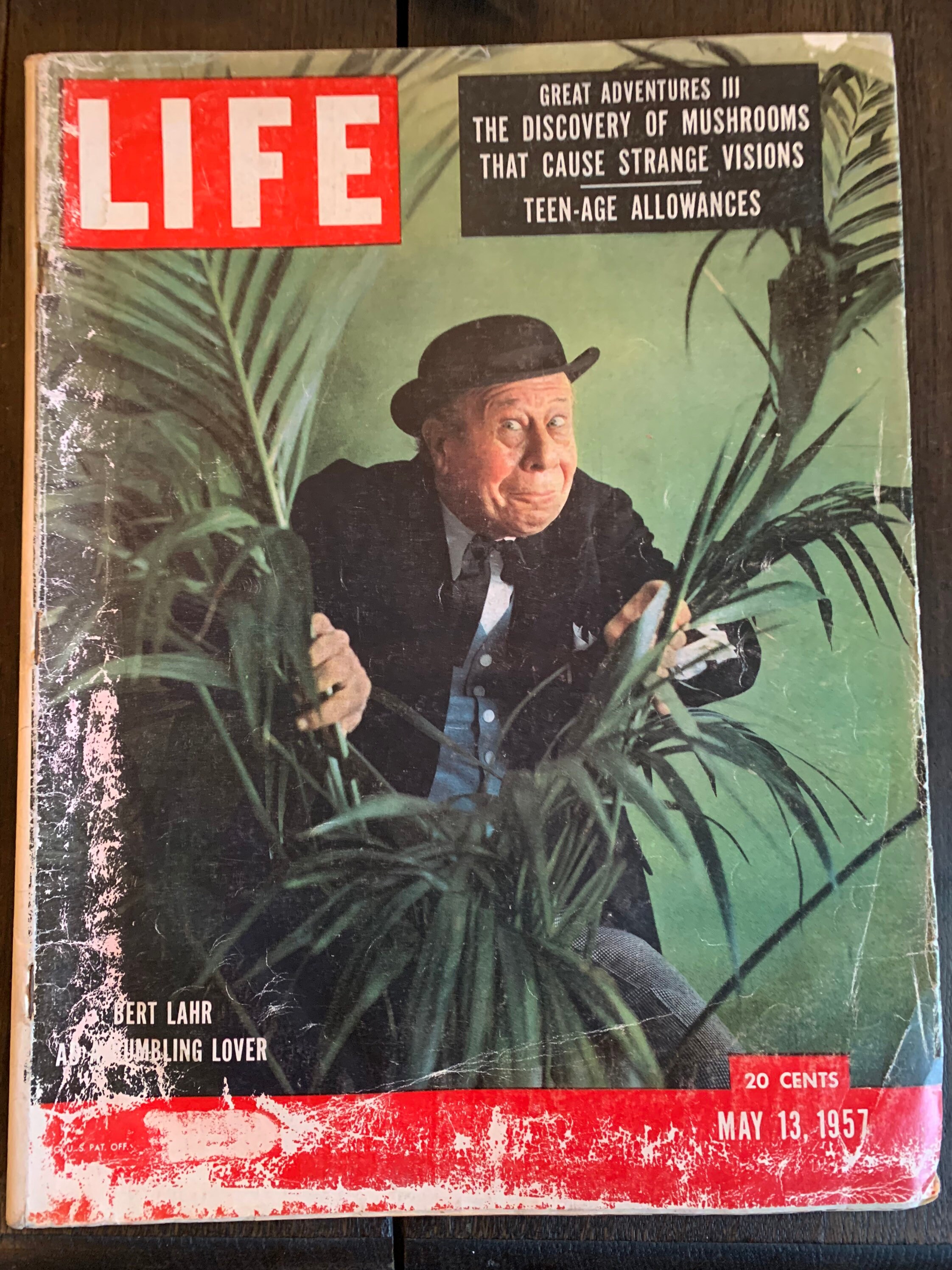 Life magazine may for sale  