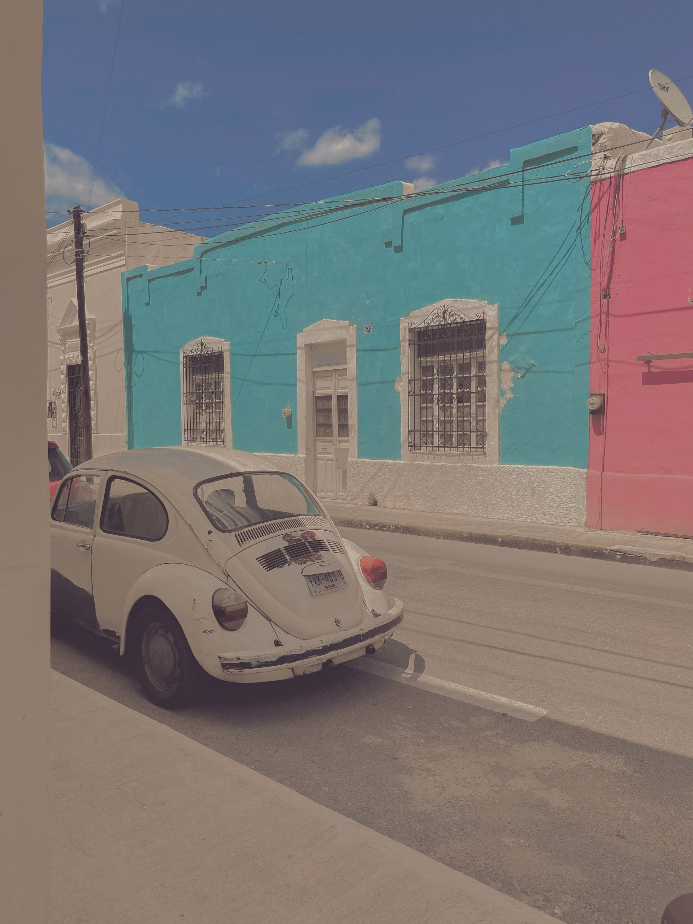 Vintage volkswagen for sale  
