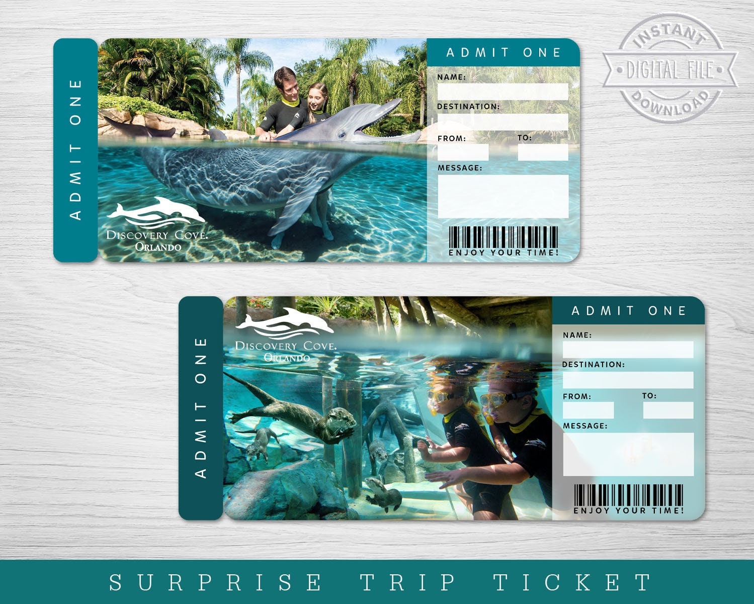 Digital discovery cove for sale  