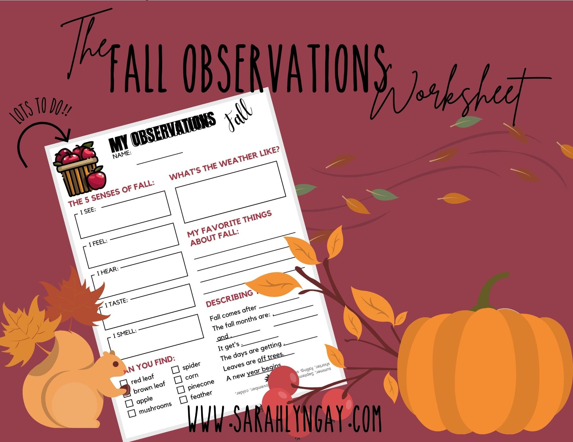Fall observations worksheet for sale  