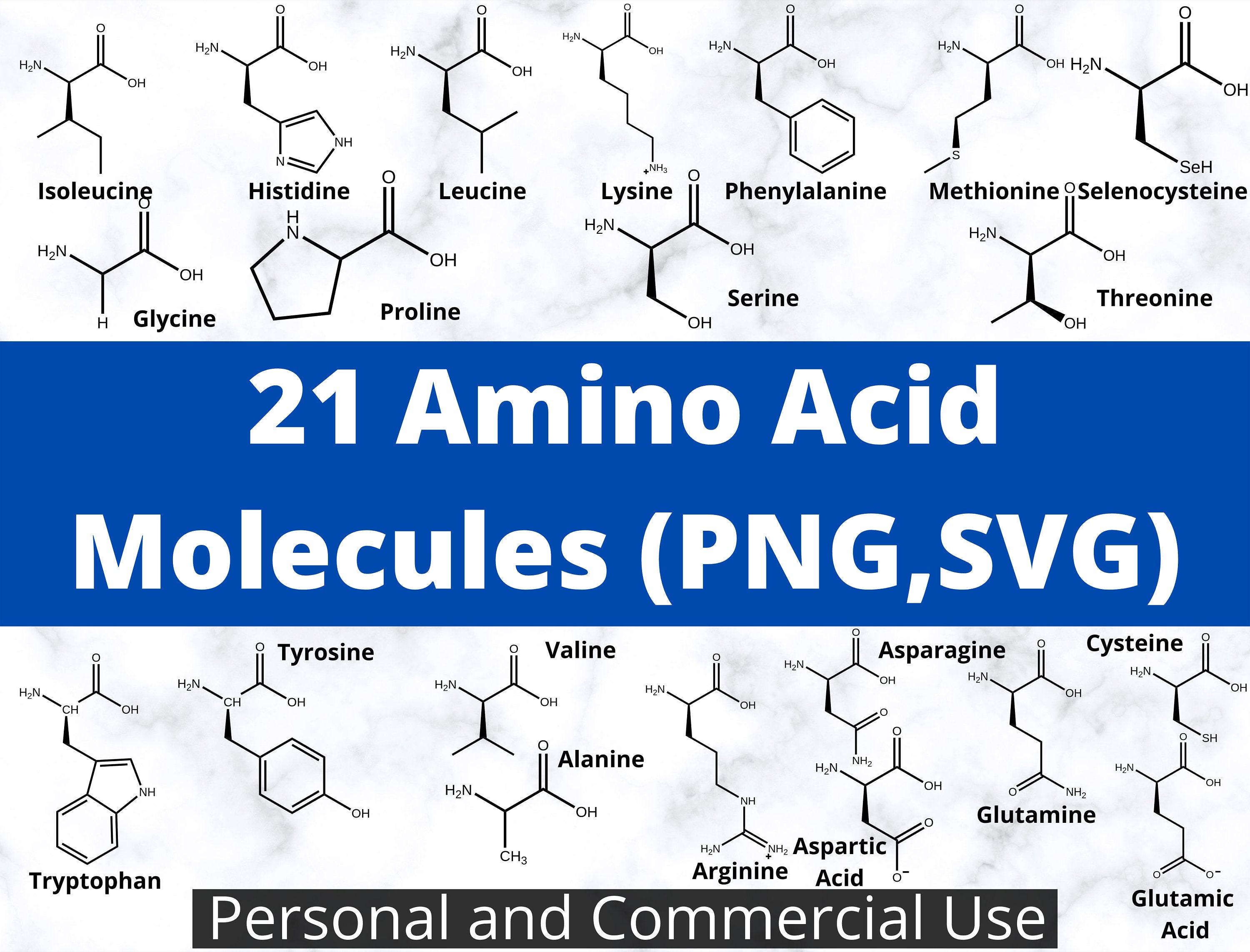 Amino acids molecular for sale  