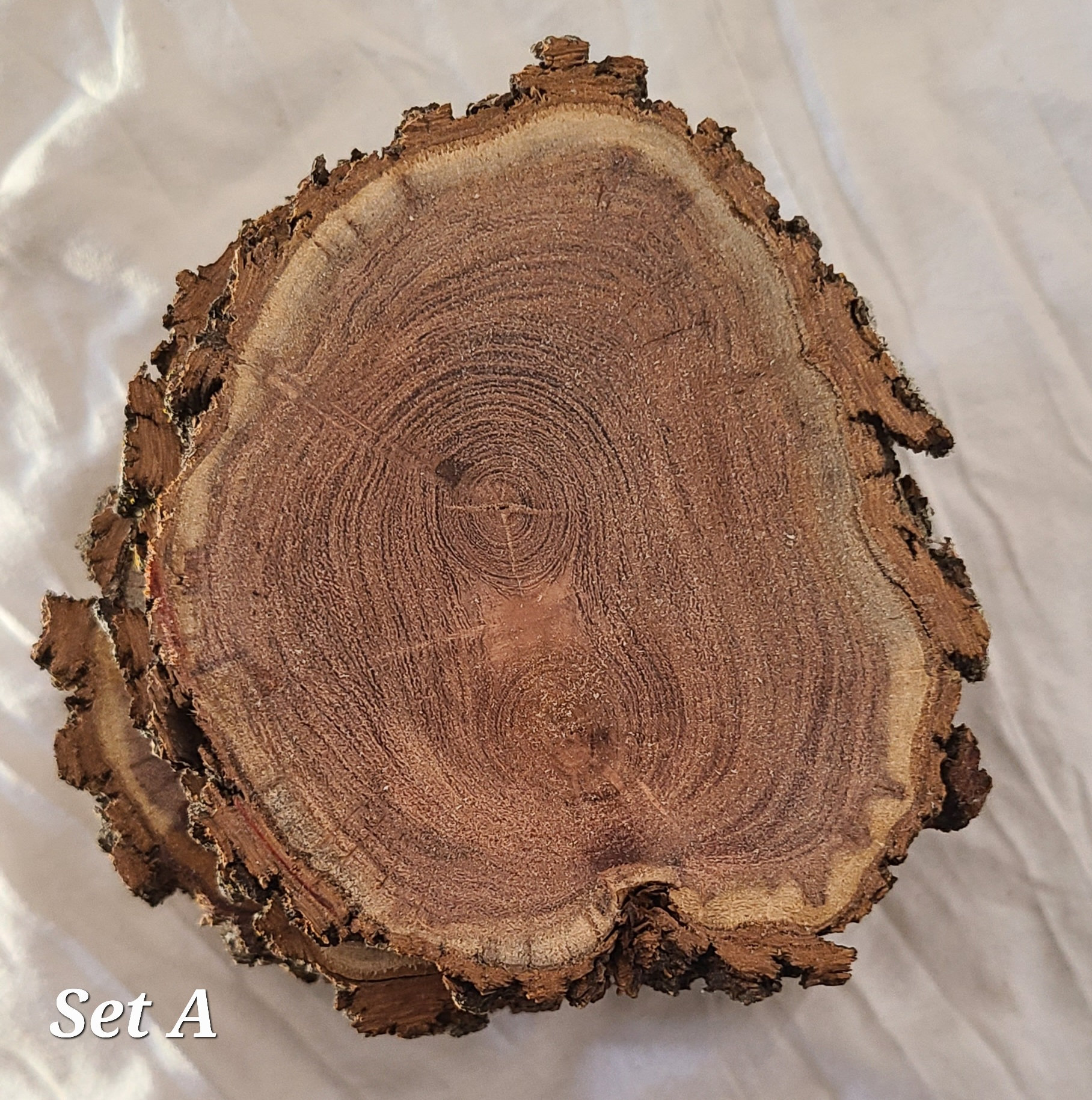 Mesquite wood coasters for sale  