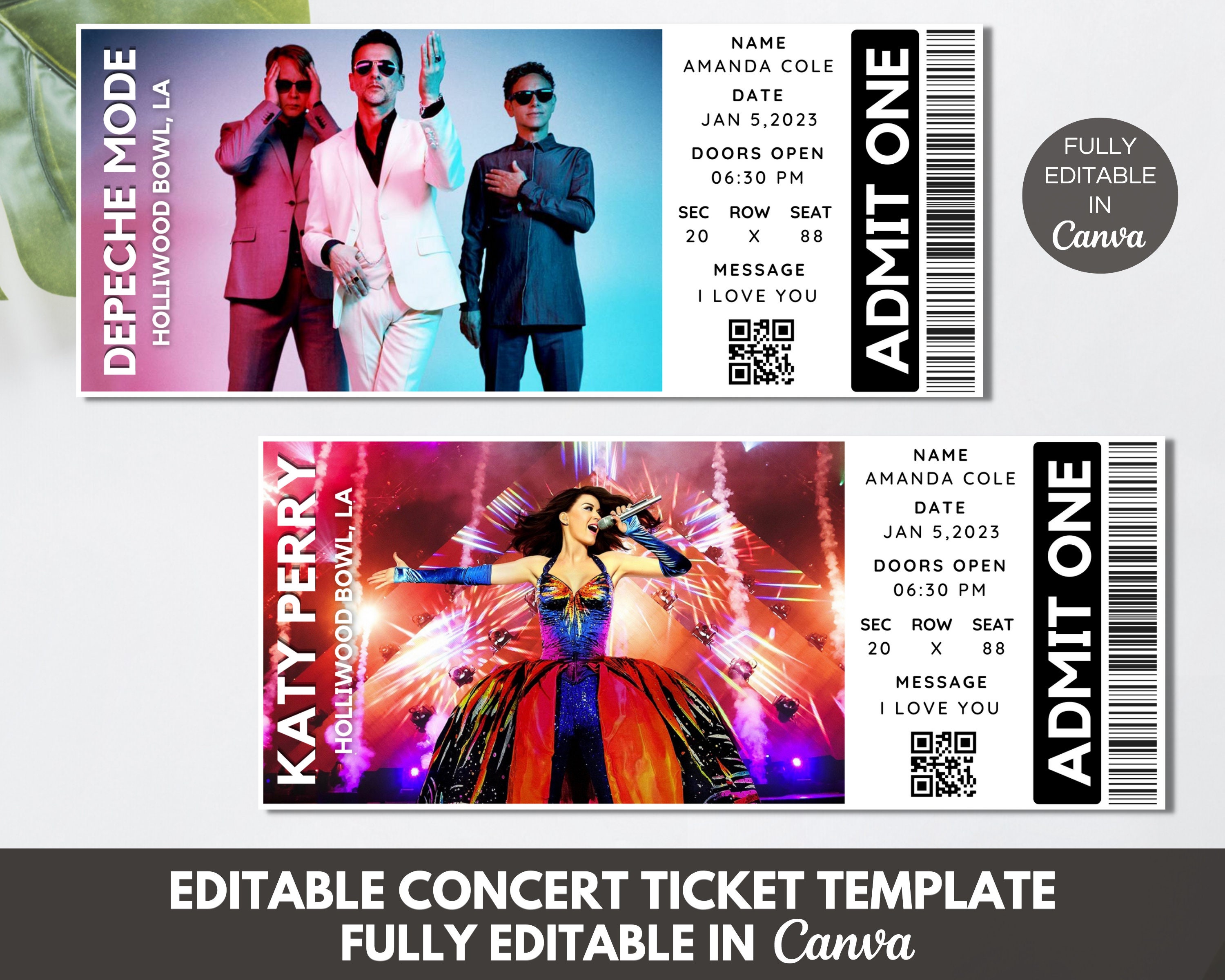 Editable concert ticket for sale  