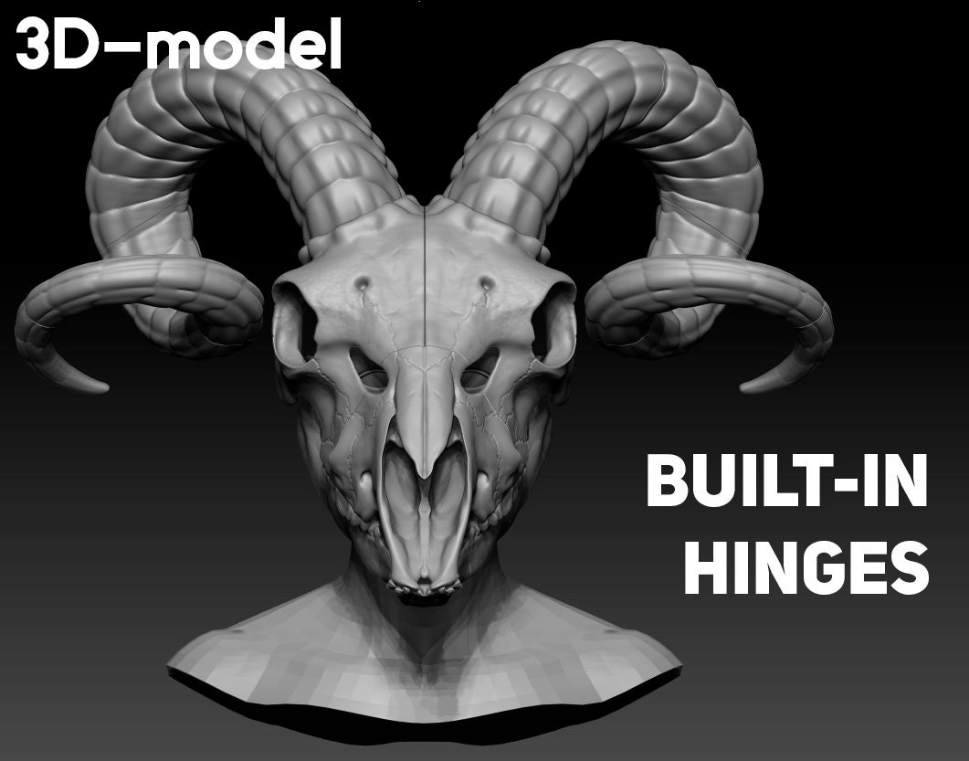 Ram skull model for sale  