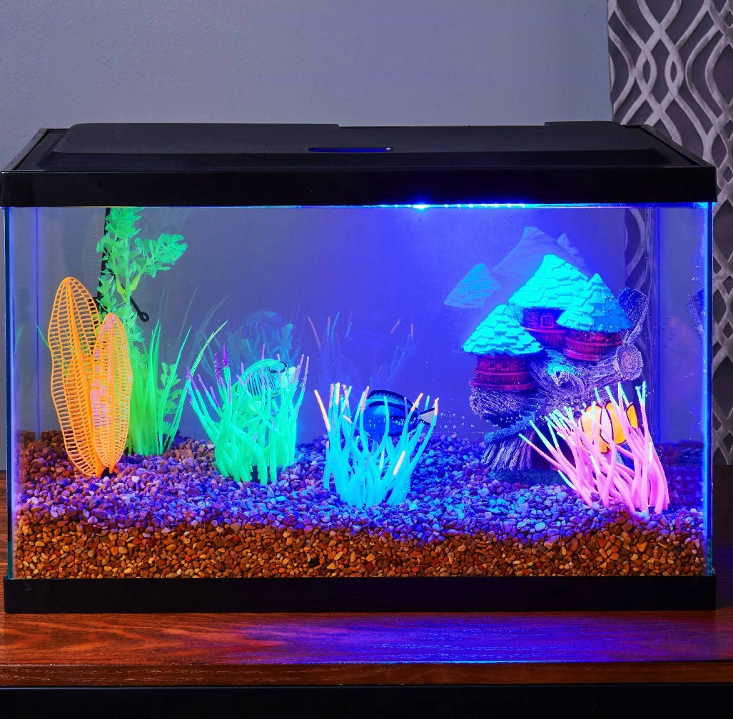 Colibrox aqua aquarium for sale  
