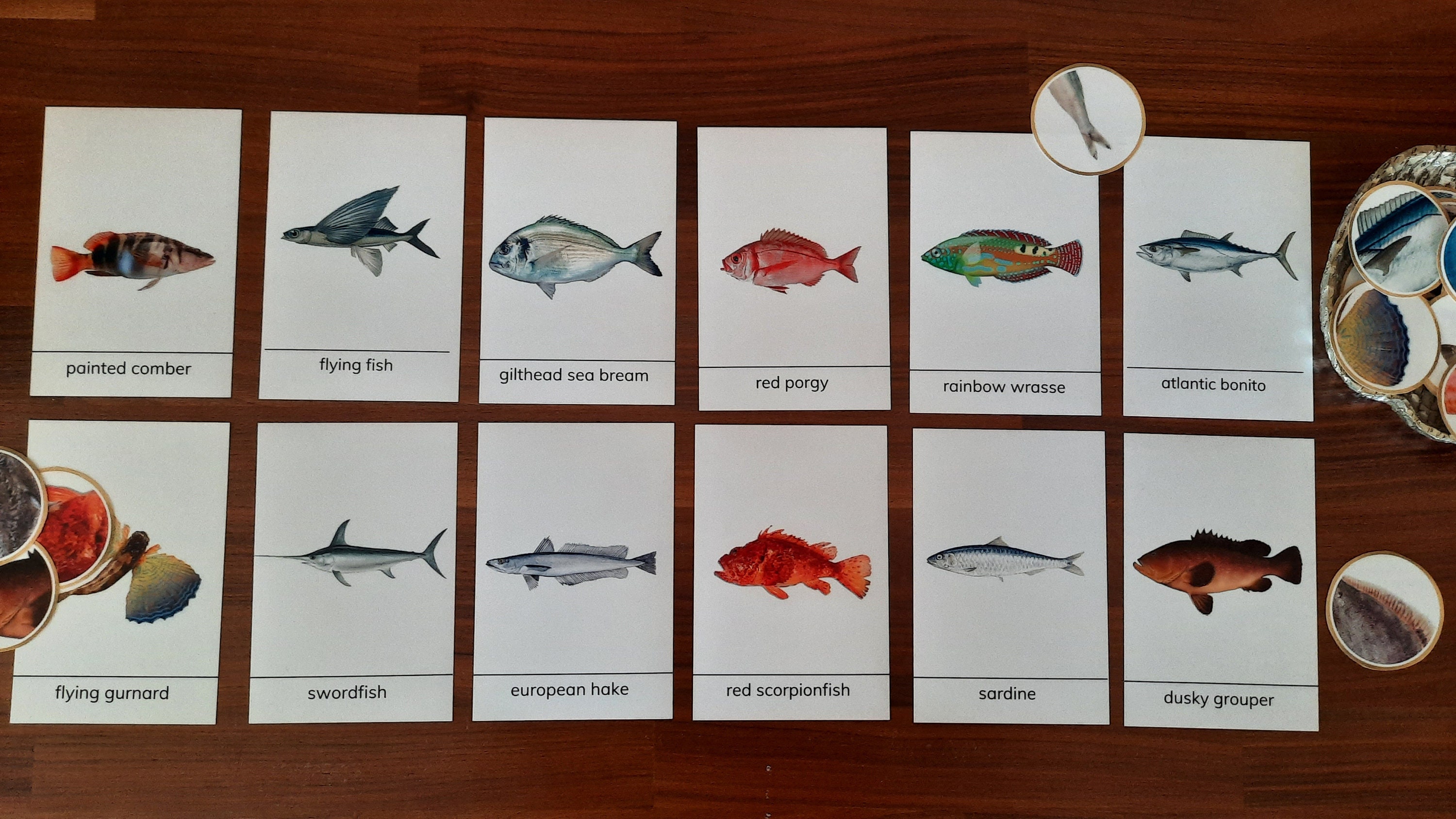 Fish montessori flashcards for sale  