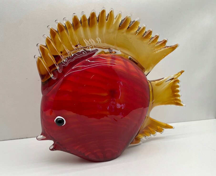 Red piranha fish for sale  
