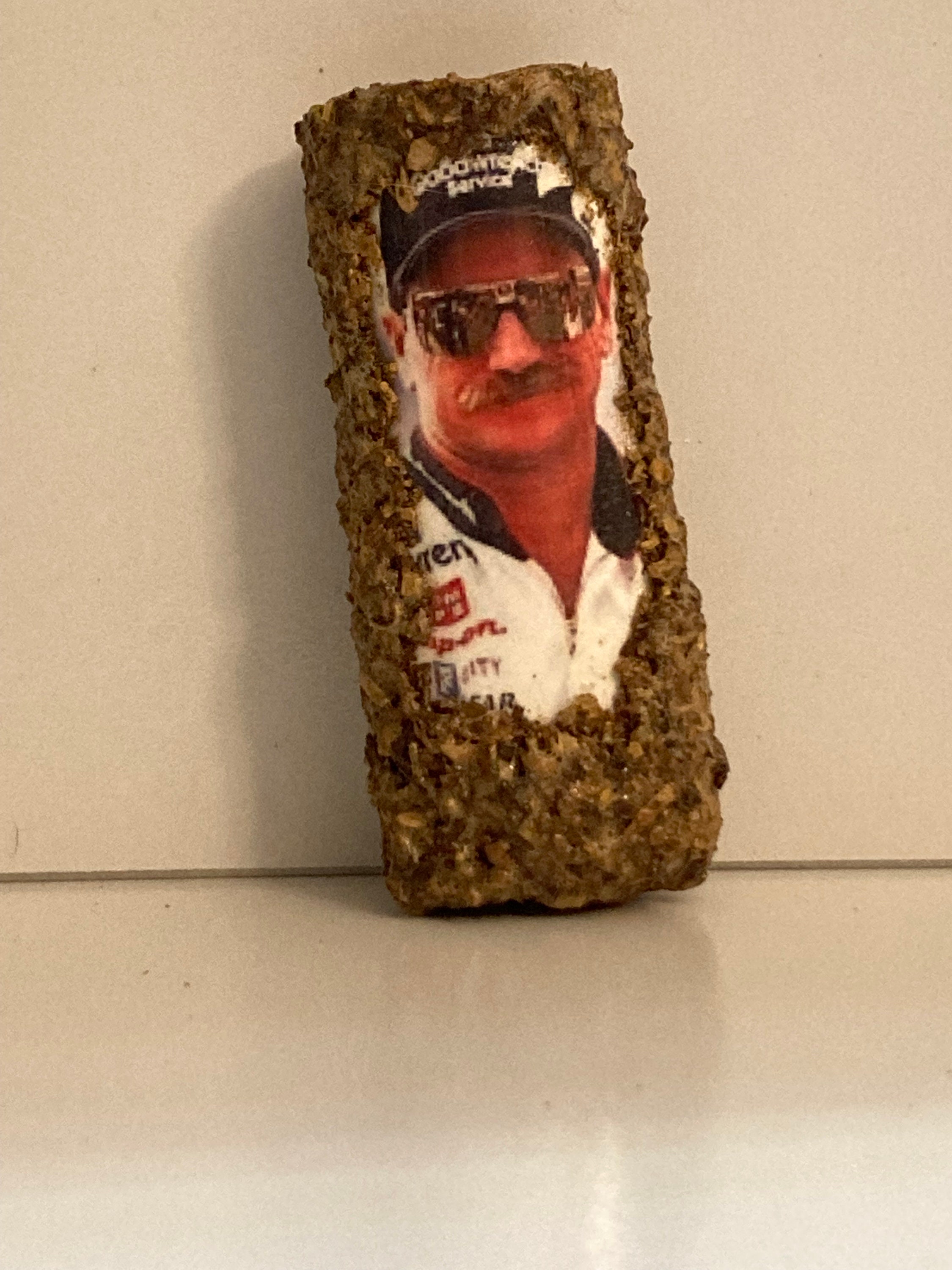 Dale earnhardt tobacco for sale  