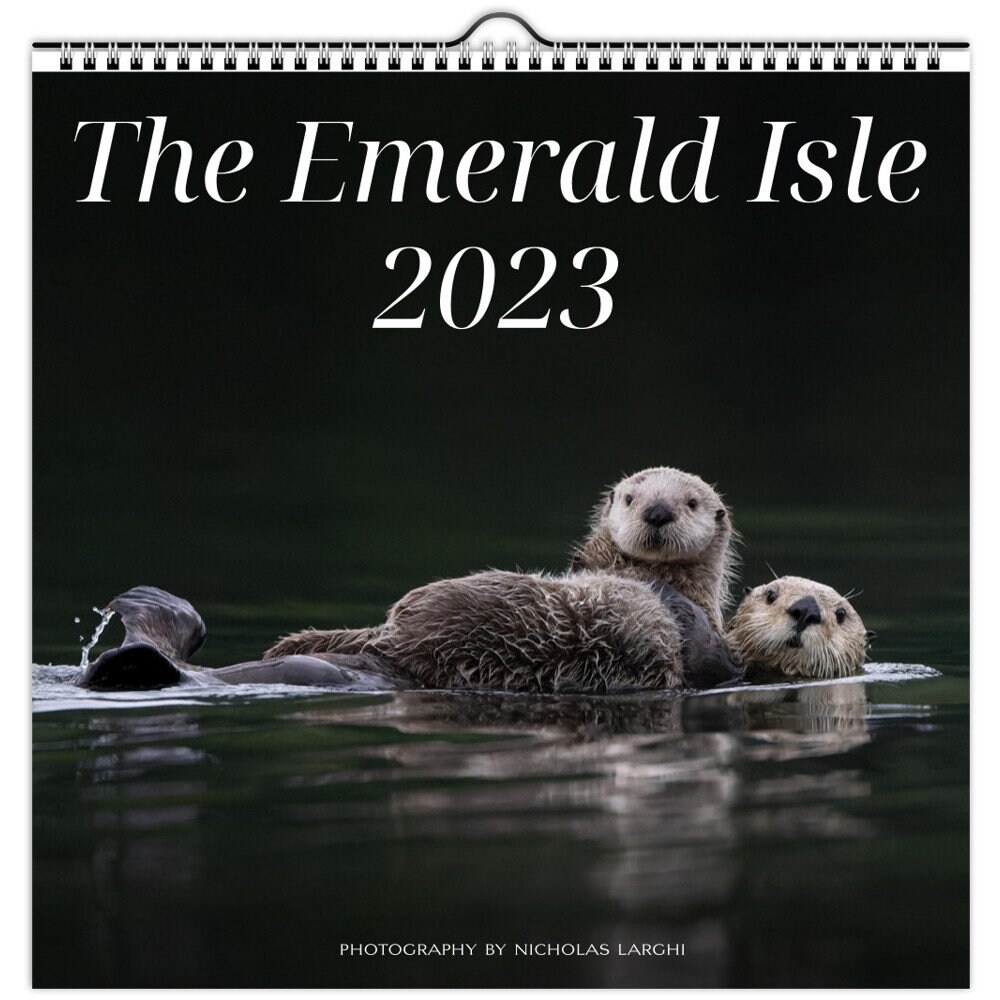Kodiak island 2023 for sale  