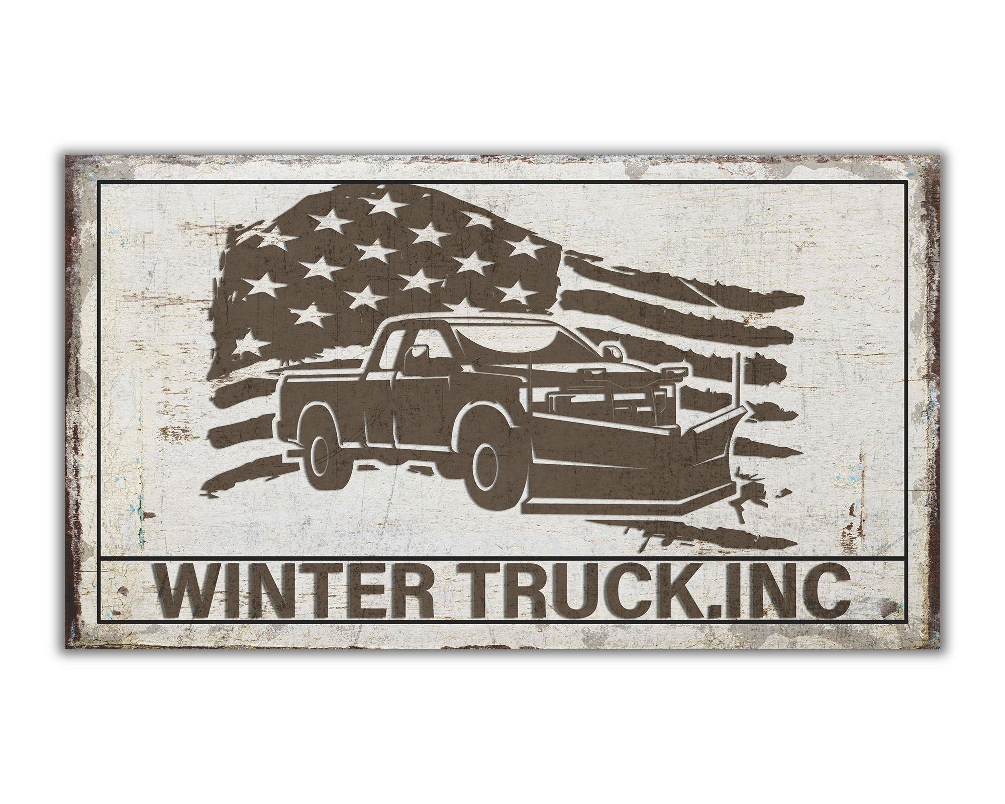 American snow plow for sale  