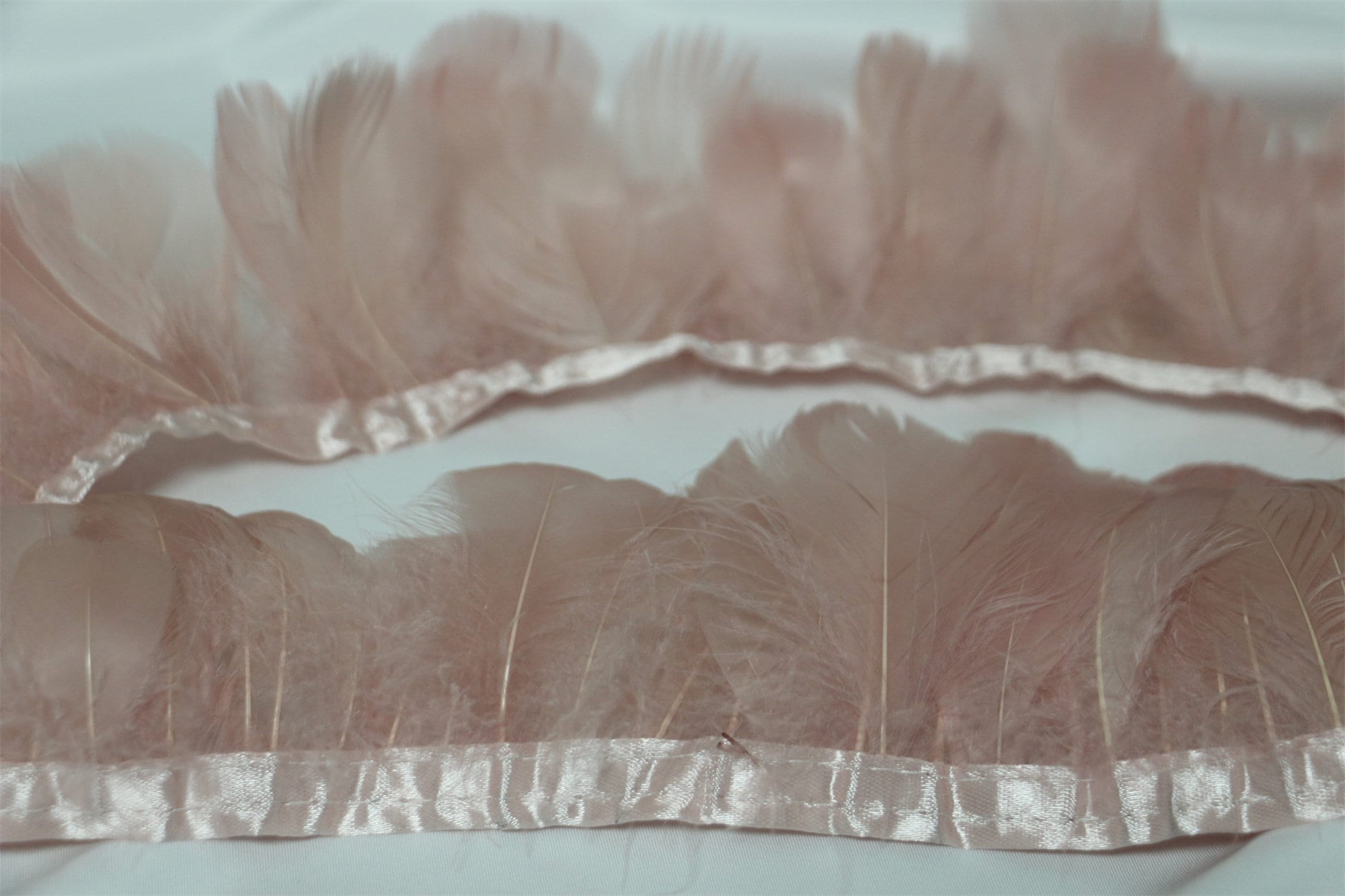 Long strips feathers for sale  