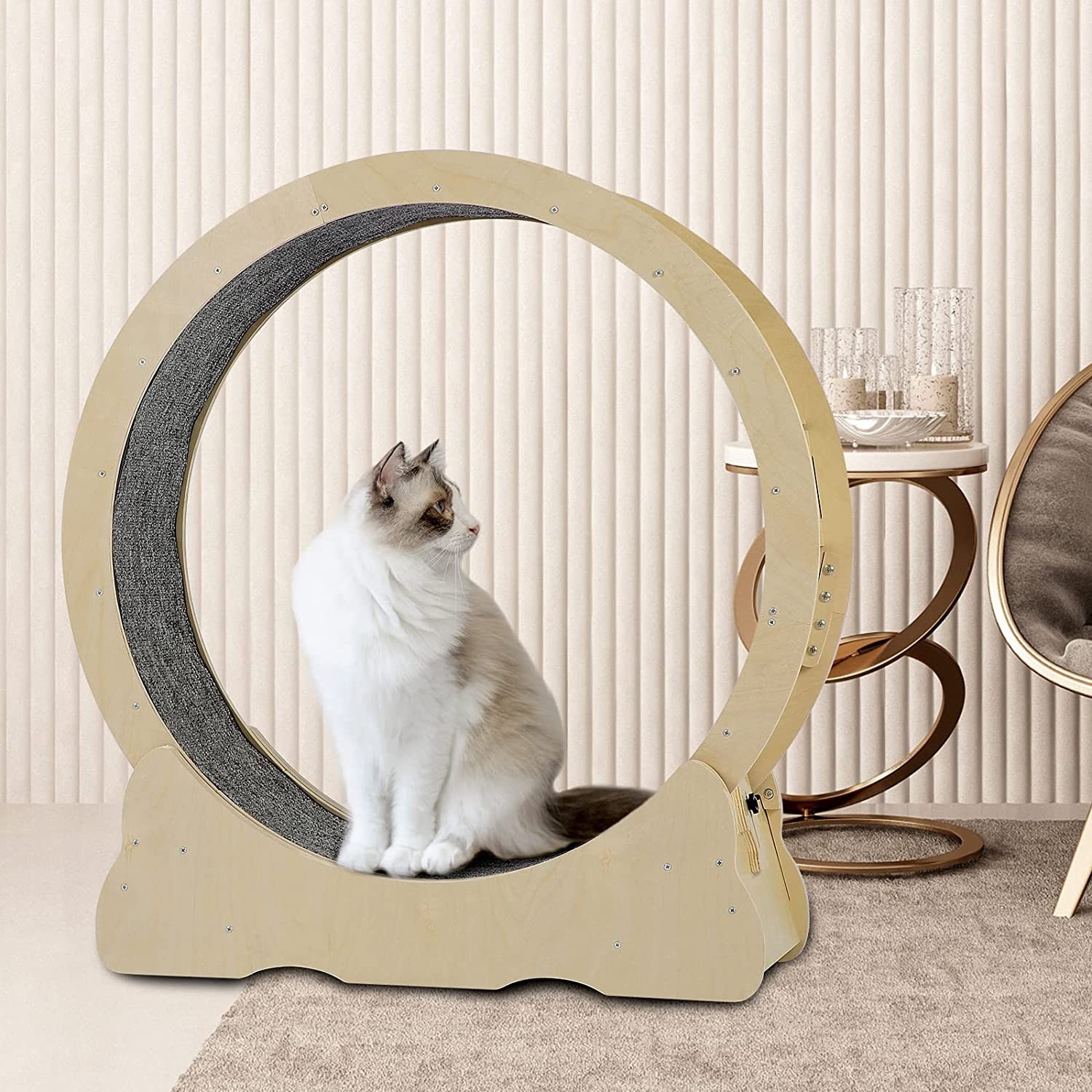 Cat wheel cat for sale  