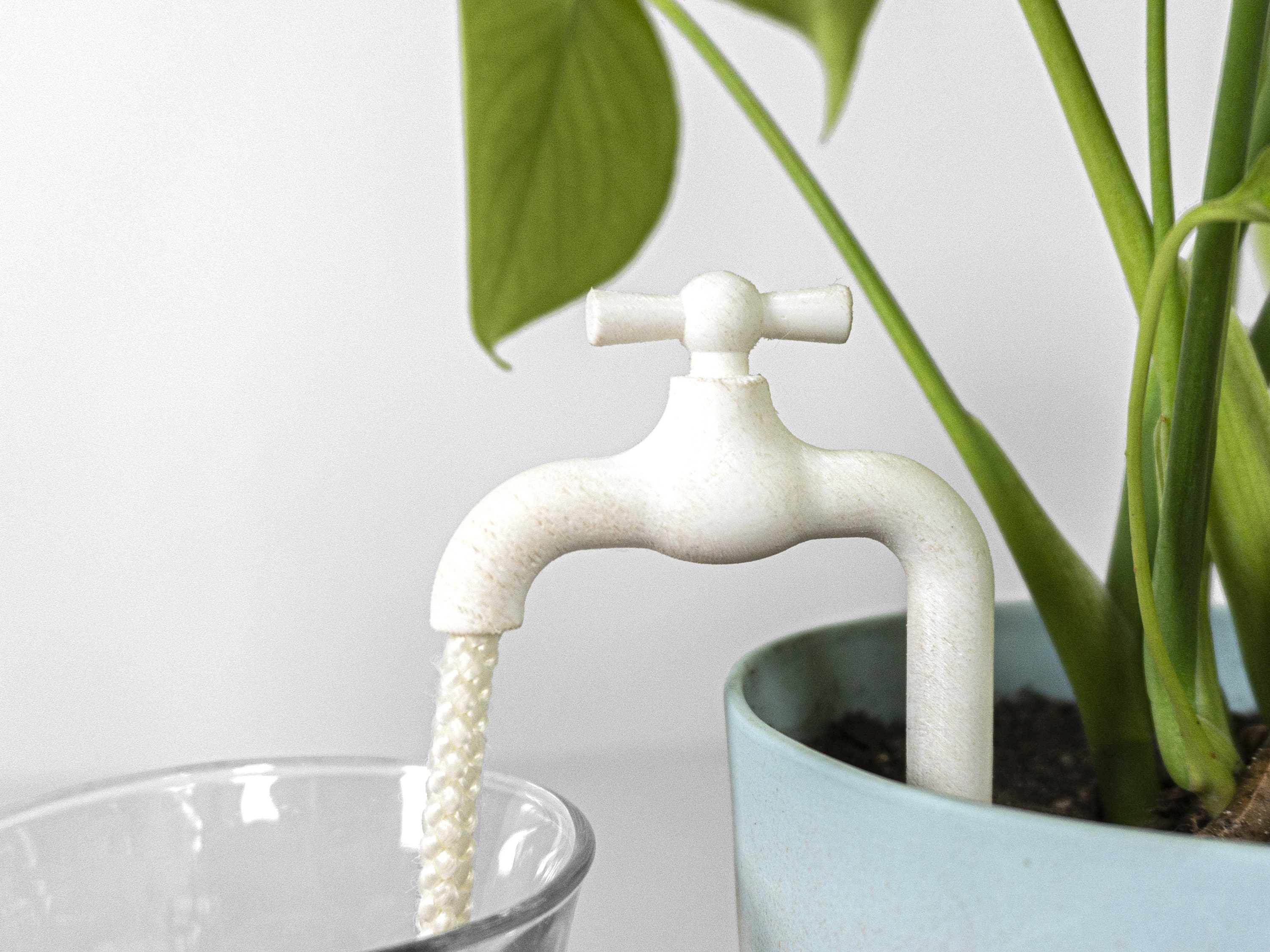 Plant water tap for sale  