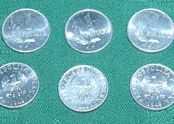moneta 1 grosz 1949 r na sprzedaż  Bartków