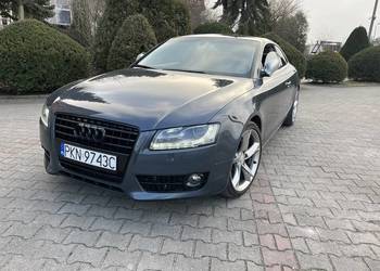 fotele audi coupe na sprzedaż fotele audi coupe na sprzedaż Gniezno