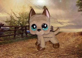 LPS Littlest Pet Shop dog fuzzy #636 oryginał magnes UNIKAT na sprzedaż  Rybnik