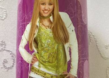 Używany, Bidon i Skarbonka Hannah Montana Disney dla dzieci na sprzedaż  Czerwionka-Leszczyny