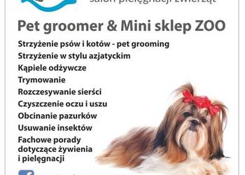 Psi Fryzjer Groomer Łańcut, używany na sprzedaż  Łańcut