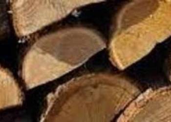Drewno liściaste,iglaste sezonowane w dobrej cenie ! na sprzedaż  Mierzyn