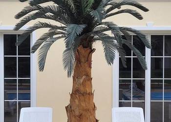 Palma Cykas 3m całoroczna sztuczne drzewka kwiaty palmy na sprzedaż  Wąbrzeźno